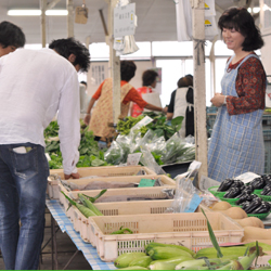 犬膳は、鎌倉野菜ラヴァー